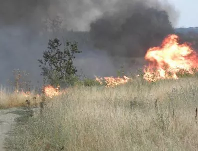 19 пожара бушуват на територията на страната