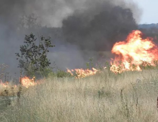 Четири нови огнища на пожари избухнаха в Хасковско