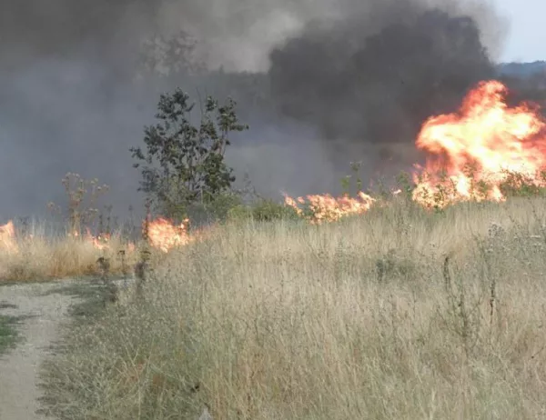 Пожар горя между Дупница и Самоков, местните го загасиха сами