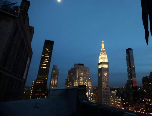 В Ню Йорк прожектираха гигантски светещи картини на изчезващи животни