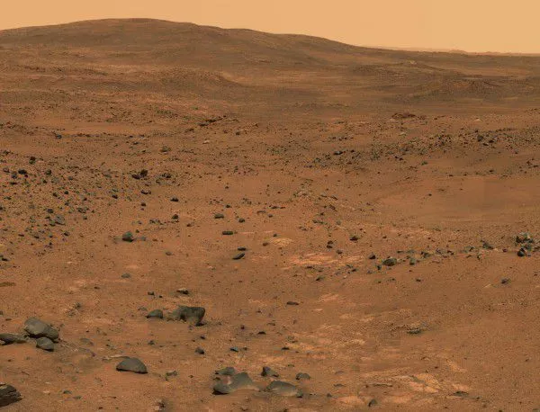 Някои земни организми могат да оцелеят на Марс