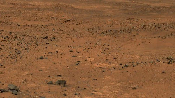 Някои земни организми могат да оцелеят на Марс