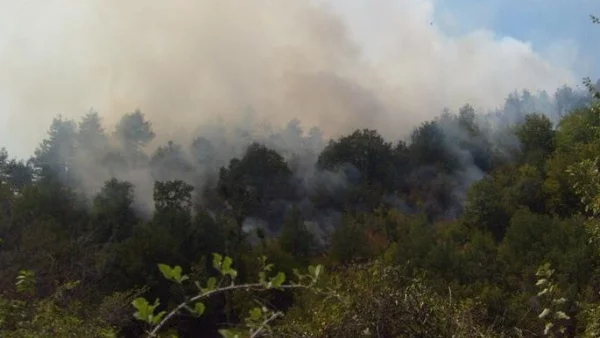 12 области с най-високата степен за пожароопасност