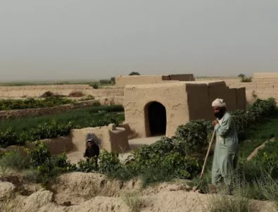 В Афганисатн ликвидираха лидер на талибаните