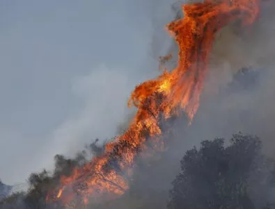 Няма пряка опасност за населението на Гълъбово заради пожара край града