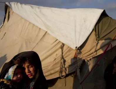 Швейцария настанява бежанците в палатки