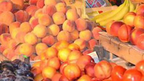 Биопазар отваря врати в Бургас 