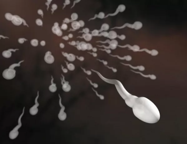 Човечеството е пред изчезване заради драстично влошаване на спермогенезата при западните мъже