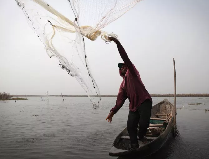 WWF: Несигурно бъдеще очаква милиони хора, зависещи от рибата като източник на протеин