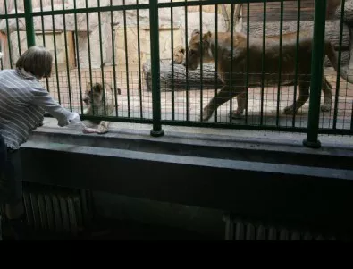 Стартира кампанията „Осинови бебетата на зоопарк Варна!”