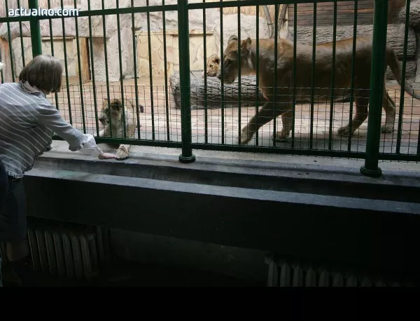 Стартира кампанията „Осинови бебетата на зоопарк Варна!”