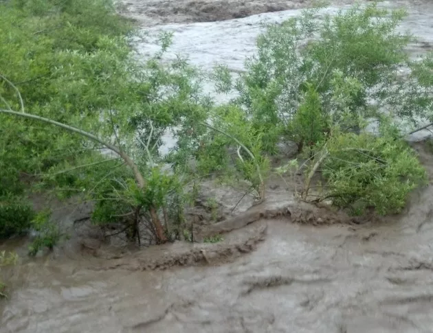 Река Янтра излезе от коритото си, дворът на "Св. 40 мъченици" е наводнен