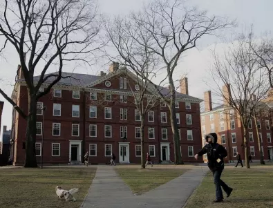 Изкуствен интелект ще преподава на студенти в Харвард от новата учебна година