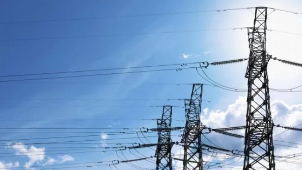 Учен добива електричество от мъх