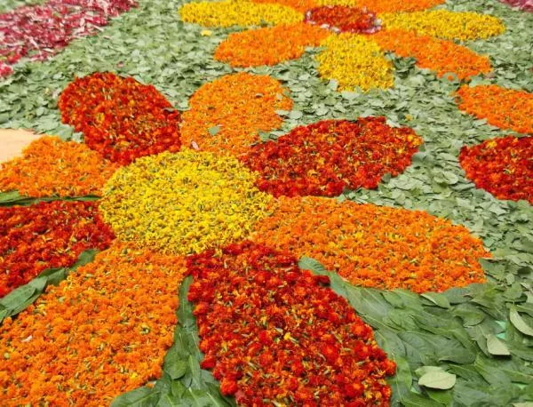 Килим от цветя украси Пловдив
