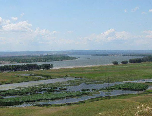 Течност с Ешерихия коли е изпусната в сръбската част на Дунав