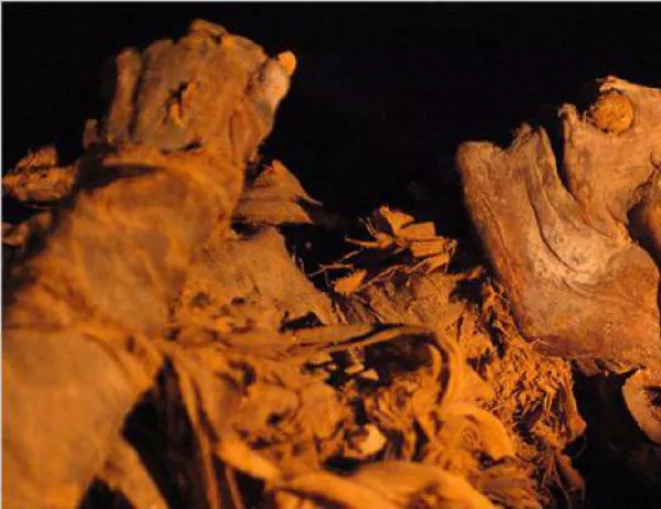 Откриха 17 мумии в централната част на Египет