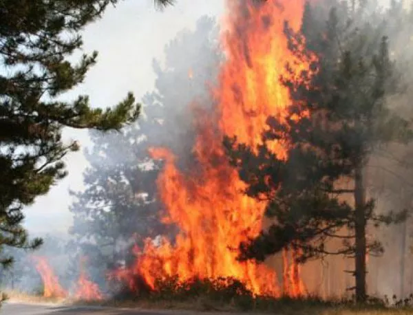 Пожар край Рилския манастир, има подозрения, че е подпален нарочно