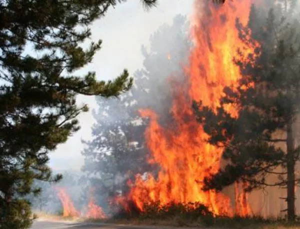 Код "Червено" за опасност от пожари в Източна България 