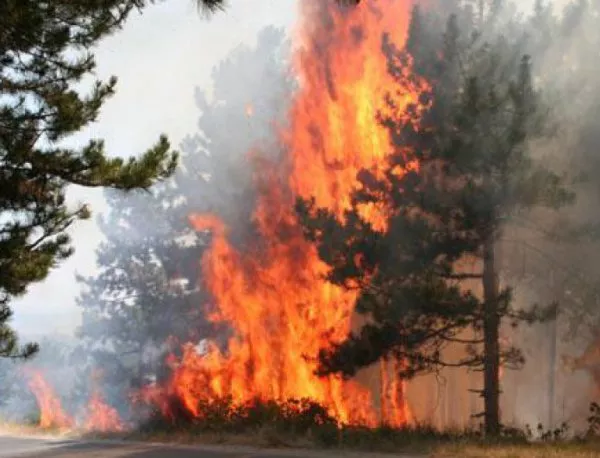 Кипър иска помощ заради пожарите, България е готова да изпрати пожарникари 
