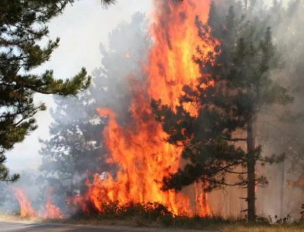 Опасни пожари в Южна и Източна България