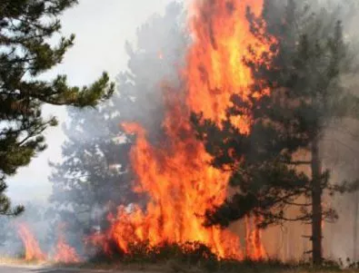 Нов пожар възникна край Гълъбово 
