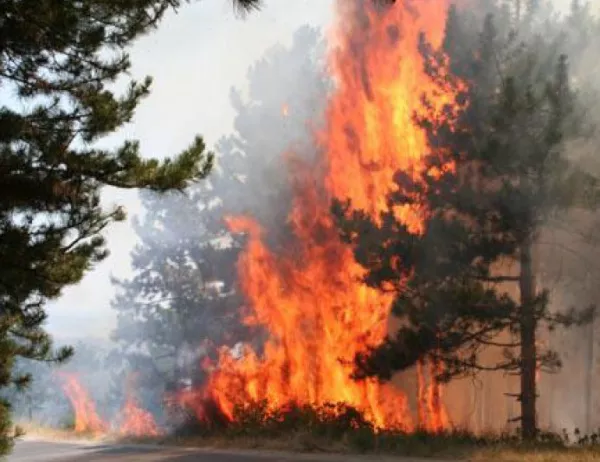 Екстремален индекс за пожароопасност в 9 области на страната за утре