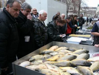 В Стара Загора затвориха рибен магазин заради небивала мръсотия