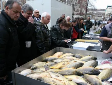 ИАРА започна масови проверки за продажба на риба в страната 