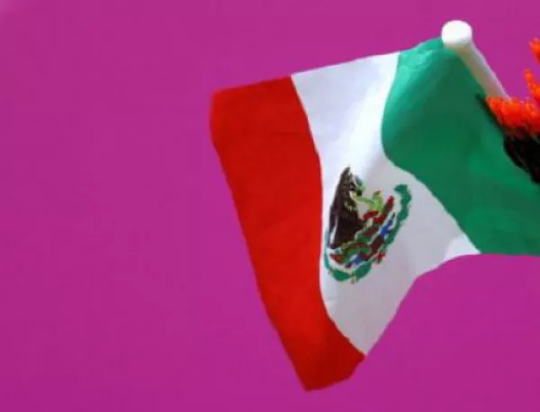 В Мексико ще уволняват учители, защото стачкуват против образователна реформа
