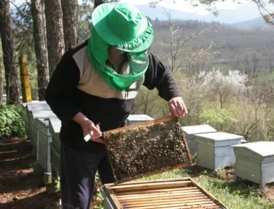 Изпратиха полиция срещу протестиращите пчелари