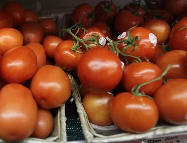Служители на БЧК-Варна ще садят и продават домати