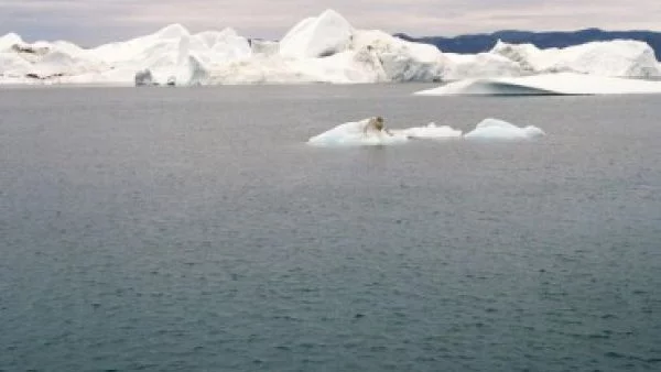 Топенето на ледниците ще предизвика световен потоп