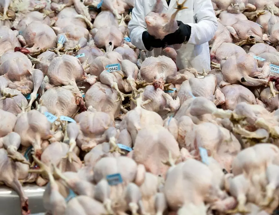 САЩ искат ЕС да вдигне забраната за "пилешко с хормони"