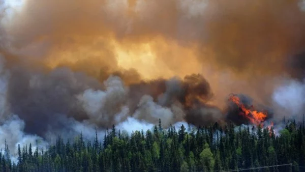 В 5 области на страната има екстремален индекс за пожароопасност