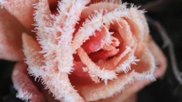 Честит имен ден на Харалампи, Валентин и Валя