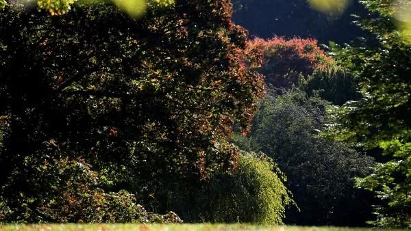 Слънчев и топъл петък, с температури до 22°