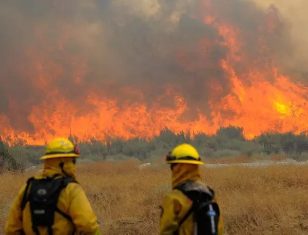 Опустошителни горски пожари бушуват в Австралия