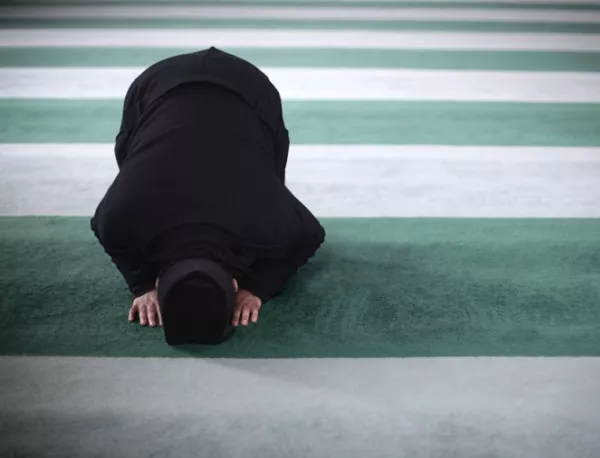 Дания вероятно ще отнема гражданството на имамите, проповядващи радикален ислям