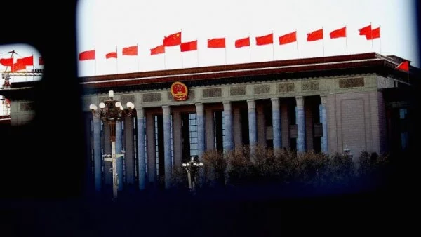 Китайската дива гъска следва златото на Пътя на коприната