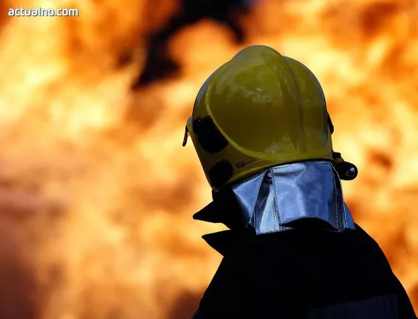 Горски пожар унищожи 15 къщи в Калифорния
