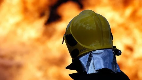 Горски пожар унищожи 15 къщи в Калифорния