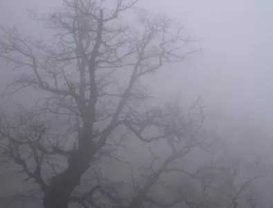 Мъгла има в района на Кюстендил и Бургас