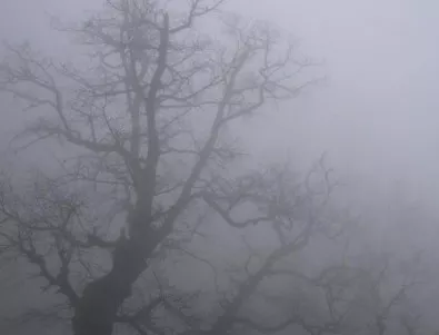 Мъгла има в района на Челопеч и в района на Витиня