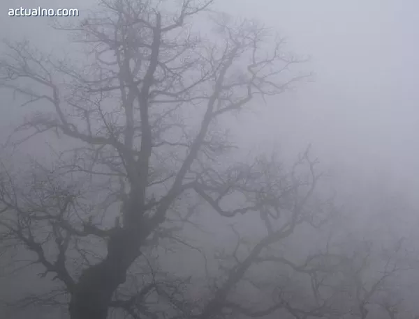 Мъгла има в района на Челопеч и в района на Витиня