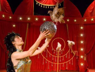 Тайната на китайските лъвове в Софийския постоянен цирк 