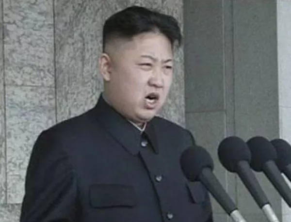 Ким Чен Ун нареди екзекуция заради костенурки