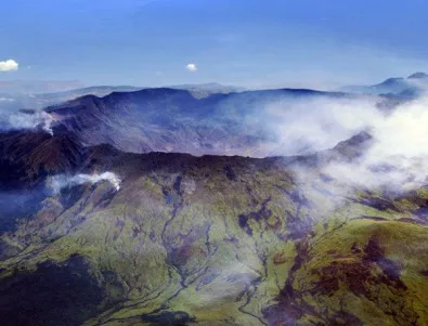 Вулканите спасили растения и животни през ледниковата епоха