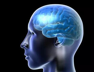 Учени: COVID-19 дава отражение и на мозъка