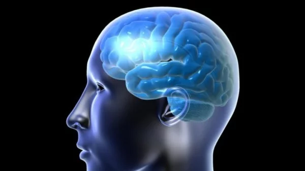 Учените доказаха, че съзнанието подчинява физиката